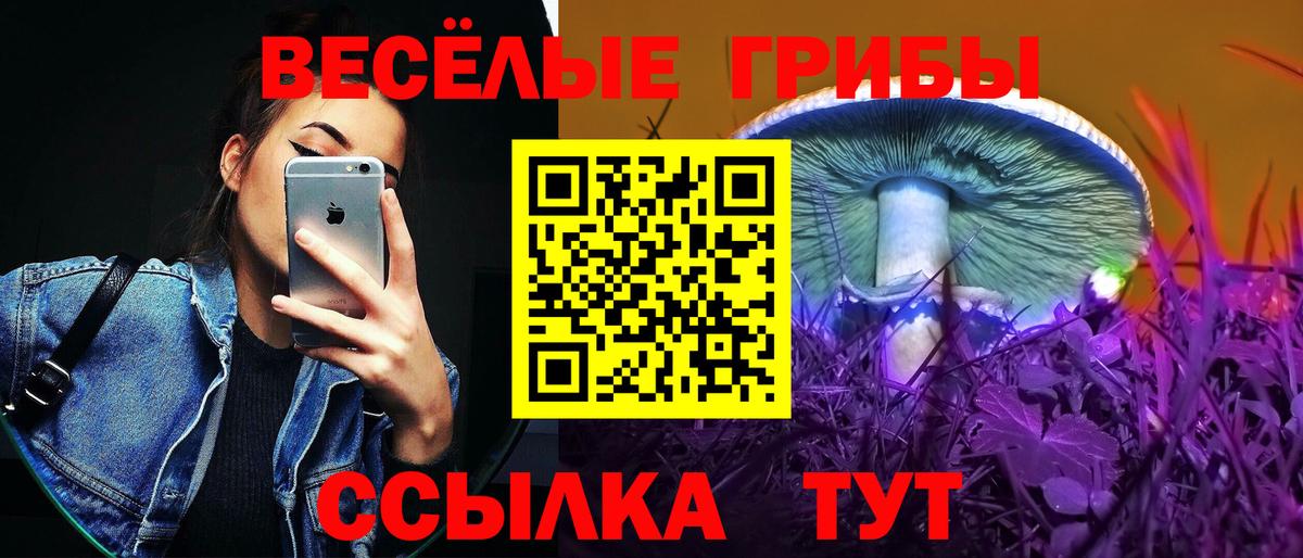 Вичуга  Галлюциногенные грибы MAGIC MUSHROOMS  Псилоцибиновые грибы мицелий  Вход с VPN 